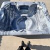 American Whirlpool 250